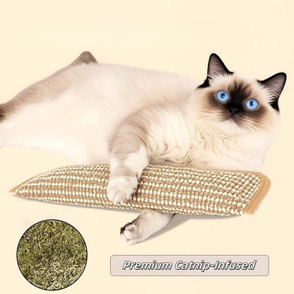 Premium Catnip-Infused Pillow: Dual Hemp Rope Cat Chew Toys for Teething, Play & Stress Relief (2-Pack)