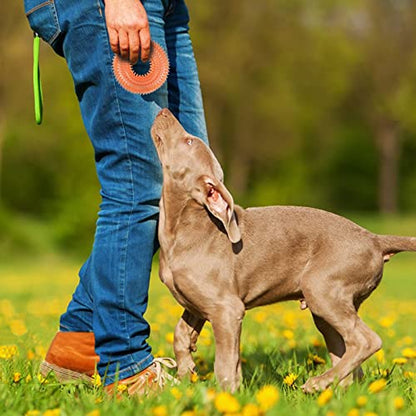 Andiker Squeaky Dog Toy, TPR Chewable Dog Toys for Teeth Grinding&Cleaning Dogs Fetch Toys for Enhancing Interactivity Outdoor Suitable for All Dog Sizes Puppy’s Gifts and Dog Lovers (Large Orange) - size: Large Orange