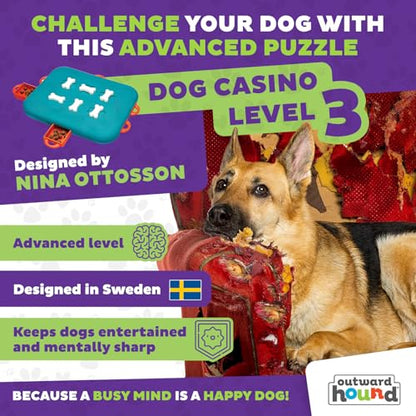 Outward Hound by Nina Ottosson Dog Casino Treat Puzzle Enrichment Toy, Level 3 Advanced, Turquoise - color: Dog Casino (Blue, Orange)