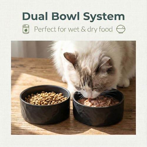 Ceramic Dog and Cat Bowl 2-Pack Non-Slip Weighted Food Water Set for Cats &Small Dogs 13.5OZ Black - color: Black – 2 Pack