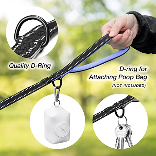 PHOEPET 5 Feet Heavy Duty Dog Leash - Reflective - Soft Padded Handle Traffic Grip for Extra Control (L,Baby Blue) - color: Baby Blue