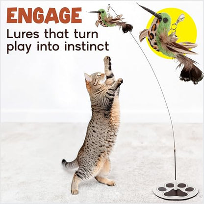 Interactive Cat Toys for Indoor Cats - 5 Replacement Feathers with Bells - Teaser Wand Toy - Self Play Bird Simulation - Bored Adult Feline Hunting Solo Chaser Activity - Kitten Juguetes para Gatos - color: Pounce & Play Bundle