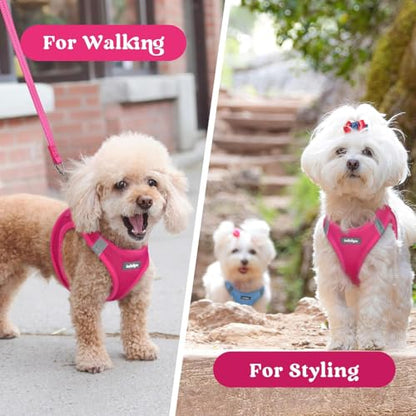 rabbitgoo Small Dog Harness, Step-in Soft Mesh Puppy Vest with Safety Buckle, Breathable Reflective Pet Harness for Small Medium Dogs, Rose Red XL - color: Rose Red, size: Xl(chest:20.0"-21.8")
