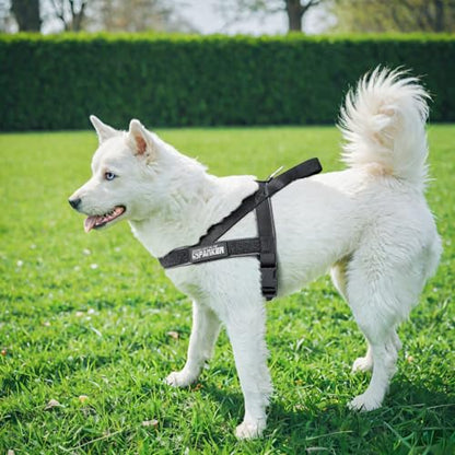 EXCELLENT ELITE SPANKER No Pull Dog Harness Padded Military Patrol Vest Adjustable Nylon Small Service Walking Dog Harness with Handle for Training Running(Grey-M) - color: Grey, size: M-(Chest 25.5-31.5")
