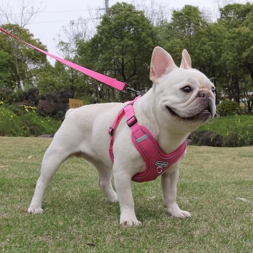 Dog Harness and Leash Set, Adjustable Triangle, Reflective Adjustable Puppy Vest, No Pull Soft Mesh Harness for Small, Medium Dogs, Cats (Fuchsia, S) - color: Fuchsia, size: S