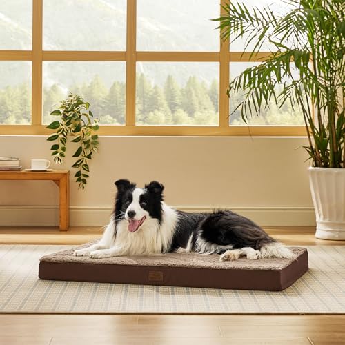 Bedsure Dog Beds Large Sized Dog - Comfy Flat Pet Beds with Removable Washable Cover, Orthopedic Egg Crate Foam Puppy Mat, Suitable for Pet Up to 65 lbs - color: Brown, size: 36"L x 27"W x 3"Th