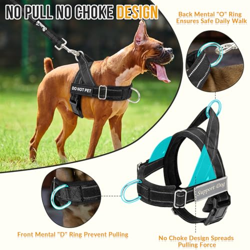 Lukovee No Pull Dog Harness and Leash Set - Heavy Duty Dog Vest with Soft Velvet Padding for Medium Large Dogs, Adjustable Reflective Tactical Harness with 2 Control Handles & Front Clip (L, Black) - color: Black, size: Large