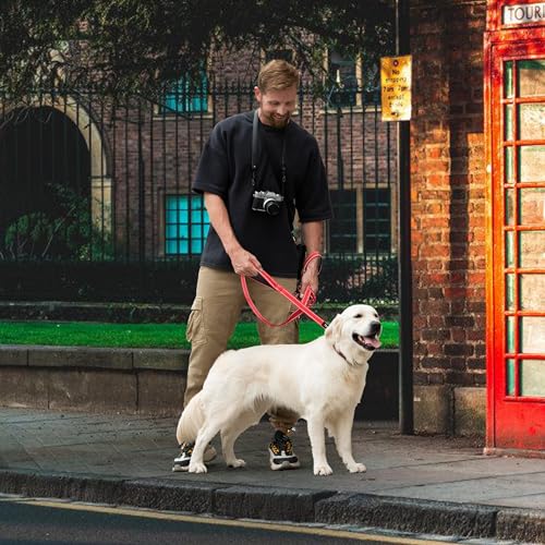 6 Foot Red Dog Leashes for Large Medium and Small Breed Dogs That Pull,Reflective Nylon Heavy Duty Dog Leash with 2 Comfortable Padded Traffic Handles and Car Seat Belt for Walking and Training - color: Fiery red