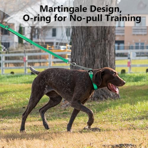 Plutus Pet Martingale Dog Collar with Stainless Steel Chain and Reflective Nylon, Adjustable No Pull Training Collar, for Small Medium, and Large Dogs, Green, S - color: Green, size: Small