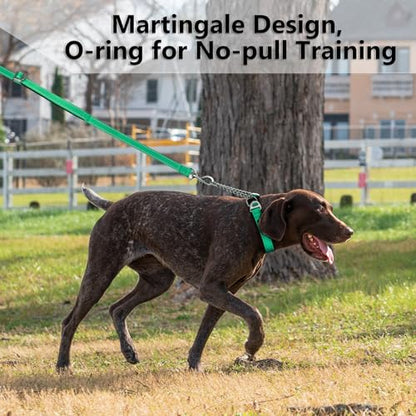 Plutus Pet Martingale Dog Collar with Stainless Steel Chain and Reflective Nylon, Adjustable No Pull Training Collar, for Small Medium, and Large Dogs, Green, S - color: Green, size: Small
