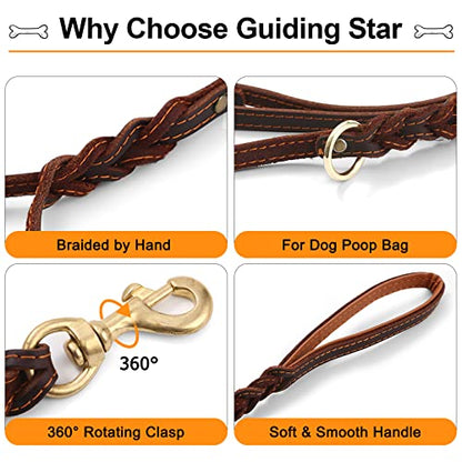 Guiding Star Double Handle Leather Dog Leash 6ft, Heavy Duty Braided Dog Leash with Traffic Handle for Small Medium & Large Dogs (Two Handles 6 Foot x 5/8", Brown) - color: Brown