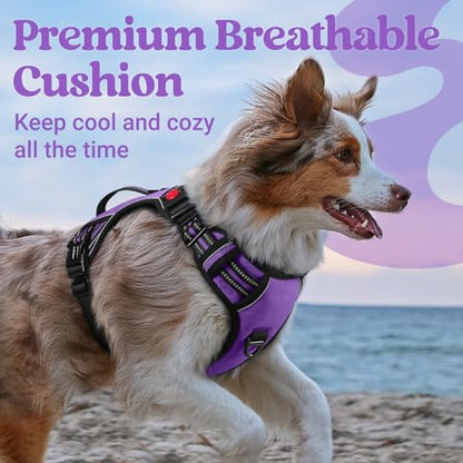 rabbitgoo Dog Harness for Large Dogs, No Pull Pet Harness with Soft Padded Handle, Adjustable Reflective Vest with 3 Buckles, Easy Walking Harness with 2 Leash Clips, Purple, M - color: Purple, size: Medium