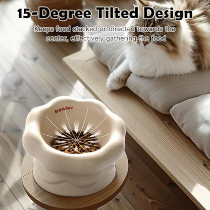 Cloud-Shaped Ceramic Cat Bowl - Elevated Raised Design for Indoor Cats & Kittens,Tilted Anti-Vomiting Shallow Dish with Spine Protection,Cute Whisker-Friendly Ceramic Food Bowls & Dishes (Milky White) - color: Milky White