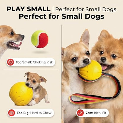 Durable Rubber Dog Ball with Strap - Interactive Fetch/Tug Toy for Aggressive Chewers, Floating Dog Toy for Medium/Large Dogs (Small) - size: Small