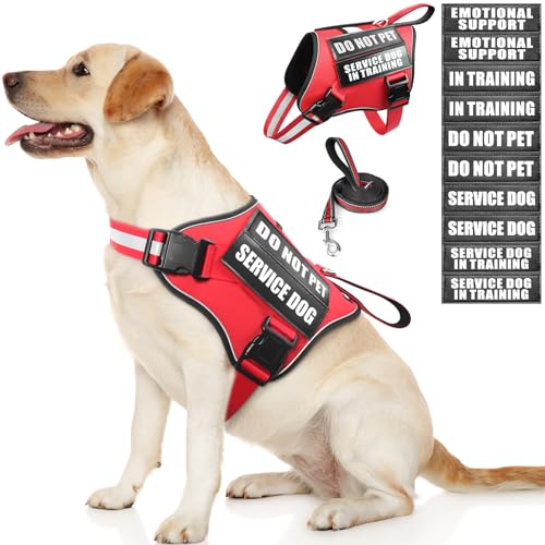 Service Dog Vest Harness and Leash Set+10 Patches,No Pull&Adjustable Reflective Dog Harness with Soft Padded Handle for Training/Everyday,Fit Small/Medium/Large/Extra-Large Dogs(Red L) - color: Red, size: Large
