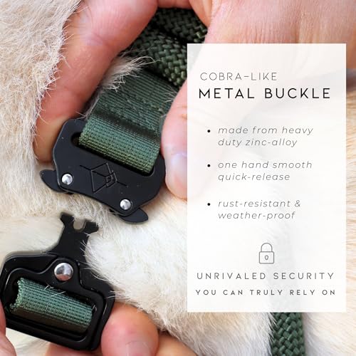 Made to ROAM Premium Dog Collar - Adjustable Heavy Duty Nylon Collar with Quick-Release Metal Buckle (Michigan Autumn, Classic Size 4) - color: Michigan Autumn, size: Classic 4