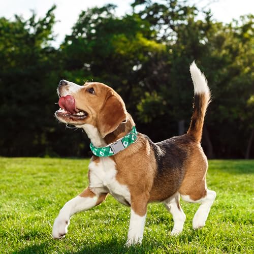 Maca Bates St Patricks Day Dog Collar Irish Clover Dogs Collars Plaid Green Spring Adjustable Durable Saint Patrick's Shamrock Spring Gift for Small Medium Large Girl Boy Male Female Puppy - color: St. Patrick--clover grid, size: S