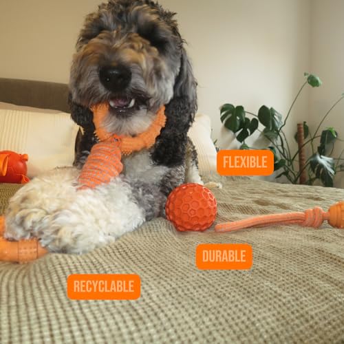 Doug's Dog Supplies Ring Rope Toy – Tug of War Toy for Medium & Large Dogs | Tug & Play Dog Toy - color: Orange