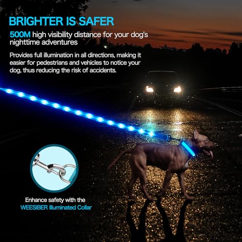 Weesiber Light Up Dog Leash, 4ft LED Dog Leash Rechargeable Safety Glow in The Dark Puppy Lead Safety Pet Lights for Night Walking (Blue) - color: Blue