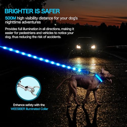 Weesiber Light Up Dog Leash, 4ft LED Dog Leash Rechargeable Safety Glow in The Dark Puppy Lead Safety Pet Lights for Night Walking (Blue) - color: Blue