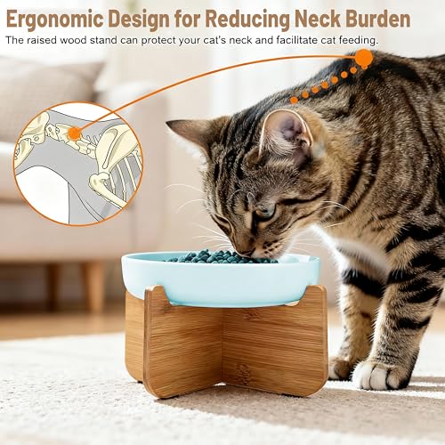 Shallow Elevated Cat Bowls with Bamboo Stand, 6.1 Inch Wide Ceramic Cat Dish Whisker Friendly, 2 Pack Pet Food and Water Plates - color: Blue 2 pack