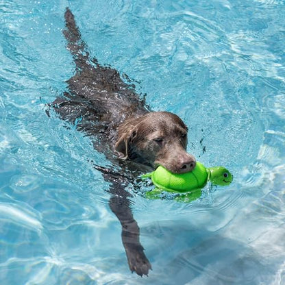 Fringe Studio Snappy Floating Dog Toys, Pet Shop Collection (640008) - color: Snappy