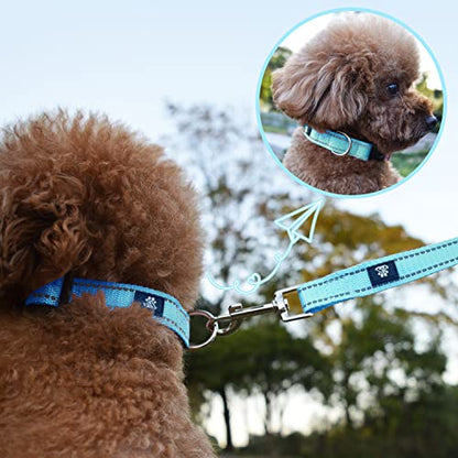 Dog Collar and Leash Set,Reflective Dog Collars with Quick Release Buckle,Adjustable Nylon Pet Collar for Small Medium Large Dogs(Small,Blue) - color: Blue, size: Small