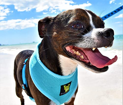 EcoBark Dog Harness - Eco-Friendly Max Comfort Harnesses - Luxurious Soft Mesh Halter - Over The Head Harness Vest- No Pull and No Choke for Puppy, Toy Breeds & Small Dogs (Medium, Blue) - color: Sky Blue