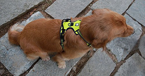 SGODA No Pull Dog Harness with Handle, Reflective, X-Large, Green - color: Green, size: X-Large Chest 32-42"