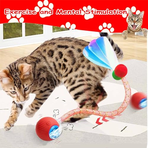 2 PCS Interactive Cat Toy Rolling Ball with Tail Chewie Viral Dog Ball, Smart Automatic Rolling Pet Balls,Automatic Moving Electric Cat Toy - color: Color2