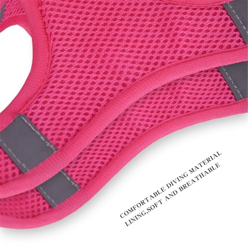 Step in Dog Harness No Pull Flower Adjustable Soft Mesh Padded Reflective Pet Vest Harness and Leash Set for Small Medium Dogs - color: Rose red, size: S(neck:10.5"-12",chest:13.5"-16")