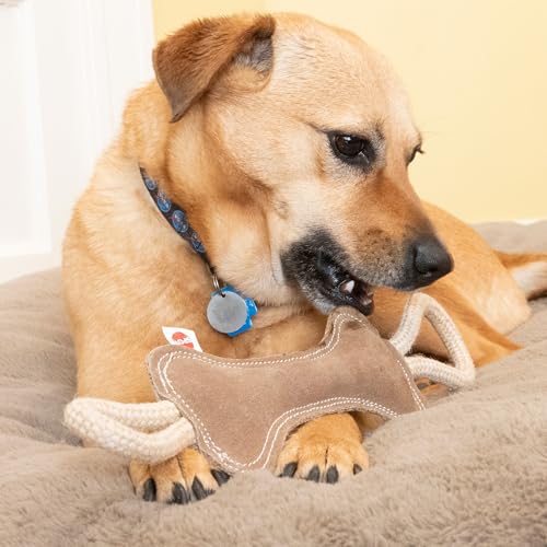 SPOT Dura-Fused Leather Bone Tug Dog Toy – Durable Real Leather & Jute Chew Toy with Double Rope Handles & Squeaker, For Moderate Chewers, 18in - size: 18 in