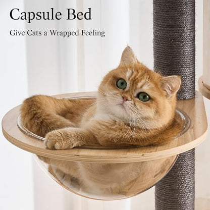 797Audio Wood Modern Cat Tree, 61.5" Tall Cat Tower with Sisal Scratching Posts, Cat Condo, Capsule and Ladder, Solid Wooden Aesthetic Multi-Level Cat Climbing Tree for Large Adult Indoor Cats-Gray - color: 62 Inch-Gray
