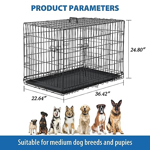 24/7 Shop at Home Gossamer Metal Double Door Folding Wire Pet Crate with Divider, Removable Tray, and Handle for Outdoor and Indoor Medium Dog, 36-inch, Black - size: 36.4"L x 22.6"W x 24.8"H