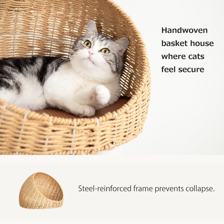 Modern Cat Tree for Large Cat, 60-Inch Tall Cat Tower with Scratching Post for Indoor Cats, Multi-Level Cat Condo with Hand-Woven Cat Bed and Acrylic Bowl (Brown-Particle Board) - color: Brown 81004D