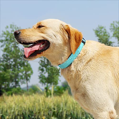 TDTOK Glittering Basic Dog Collar, Comfy & Durable Bling Dog Collar for Small Medium Large Dogs with Eco-Friendly Plastic Buckle, Adjustable Stylish Nylon Dog Collars, Fit Necks: 9.8-22.4’’ - color: Mint Green, size: L