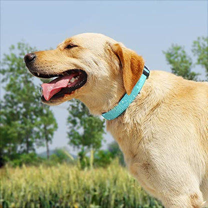 TDTOK Glittering Basic Dog Collar, Comfy & Durable Bling Dog Collar for Small Medium Large Dogs with Eco-Friendly Plastic Buckle, Adjustable Stylish Nylon Dog Collars, Fit Necks: 9.8-22.4’’ - color: Mint Green, size: L