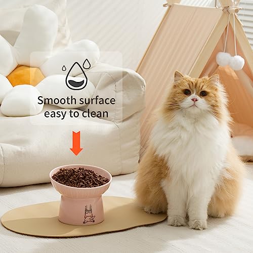 6.5 Inch Extra Wide Ceramic Raised Cat Bowls, Porcelain Tilted Elevated Cat Food Water Bowl Dish, Stress Free Pet Feeder Dishes for Cats & Small Dogs, Whisker Fatigue, White & Pink - color: White & Pink