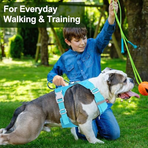 No Pull Dog Harness with Handle, Adjustable Soft Pet Vest Harness with Lightweight for Small Medium Large Sized Dog,Blue,L - color: Blue, size: L