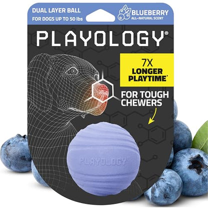 Playology Dog Toys | Dual Layer Ball Durable Chew Toy for Tough Chewers | Blueberry Scented Medium Dog Toy | Chew Toys for Dogs - size: Medium, style: Blueberry