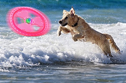 Flying Disc Dog Sport Toy with Flashing LED Lights, Light Up Pet Disk for Ultimate Night Time Play, Pink - color: Pink