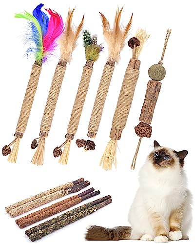 TINDTOP Silvervine Chew Sticks for Cats, 12 Pack Natural Catnip Chew Toys for Kittens Teeth Cleaning, Matatabi Dental Care, Increase Appetite, Calm Cat Anxiety and Stress, Cat Dental Toy - color: 12 Pack