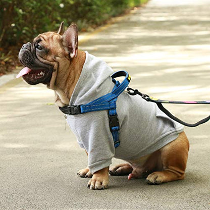 iChoue French Bulldog Harness Adjustable Padded Locked Buckle with Handle for Frenchie Pug English Boston Terrier Dogs, Blue, Small - color: A Harness Blue, size: Small ( 5 - 25 lbs )