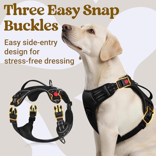rabbitgoo Dog Harness for Large Dogs, No Pull Pet Harness with Soft Padded Handle, Adjustable Reflective Vest with 3 Buckles, Easy Walking Harness with 2 Leash Clips, Black, L - color: Black, size: Large