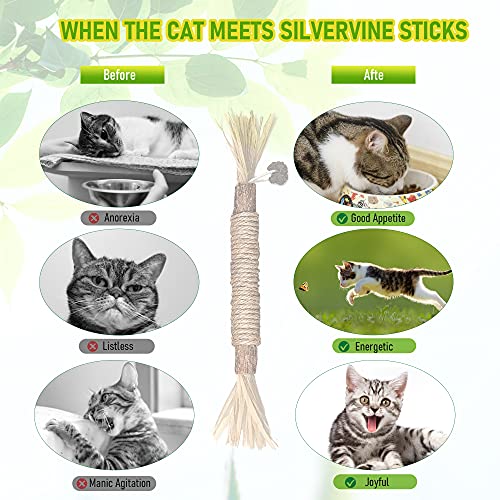 GBSYU 5 Pack Silvervine Cat Toy, Silvervines Sticks Cat Toys for Indoor Cats, Cat & Kitten Chew Toys for Aggressive Chewers, Cat Dental Toy for Kitten Teeth Cleaning, Matatabi Silvervine for Cats - size: 5PCS