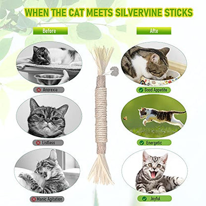 GBSYU 1 Pack Silvervine Cat Toy, Silvervines Sticks Cat Toys for Indoor Cats, Cat & Kitten Chew Toys for Aggressive Chewers, Cat Dental Toy for Kitten Teeth Cleaning, Matatabi Silvervine for Cats - size: 1PCS