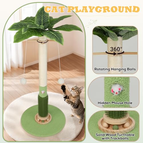 Cat Scratching Post,37.5'' Tall Palm Tree Natural Sisal Scratching Post for Indoor,Stable Vertical Cat Scratcher with Mouse Hole Toy,Rotating Interactive Ball Self Groomer for Full Body Stretching