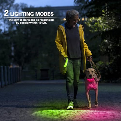 2 Pack LED Light for Dog Leash Harness, USB Rechargeable Light Up Collar with Nylon Stickers, Glow Light Easy to Attach to Collar Leash and Harness, Safety LED Light Up Band for Dogs at Night Walking