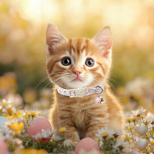 2 Pack Easter Cat Collars - Pastel Bunny&Egg Print Breakaway Easter Cat Collar with Bell & Bunny Pendant, Adjustable Cute Spring Holiday Kitten Collars for Boy Girl Cats - color: Pastel Bunny&Egg