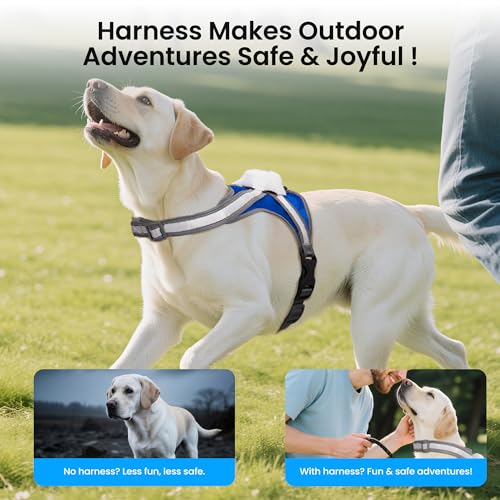 Light Up Dog Harness, Reflective Adjustable Dog Vest, No Pull Illuminated LED Harness for Dogs Night Walking Hiking Running, Waterproof,Lightweight(Large, Blue)